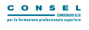Logo CONSEL