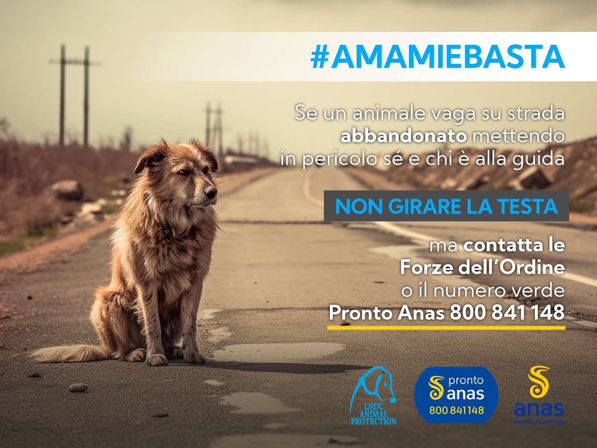 Locandina campagna #Amamiebasta 2023