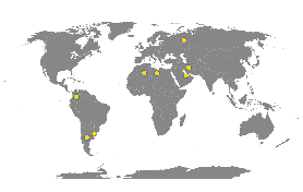 Immagine di un planisfero con evidenziati gli stati dove sono presenti commesse gestite da Anas