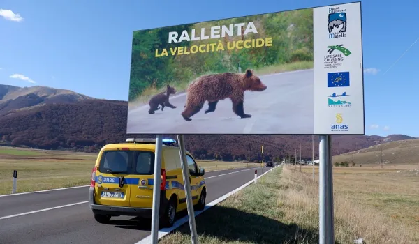 Cartello stradale Life Safe Crossing