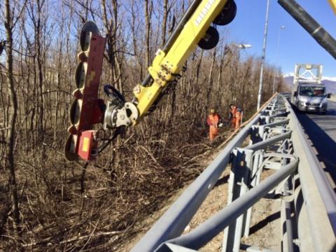 Potatura e rimozione alberi pericolosi lungo il RA10