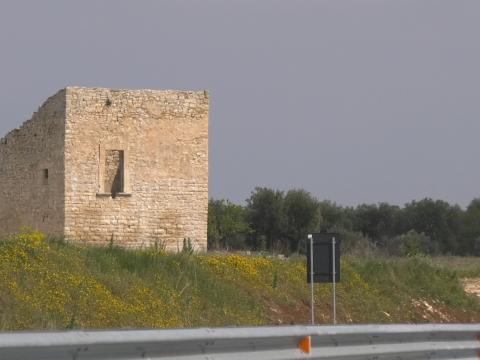 Strada statale 96 "Barese", Torre San Vincenzo