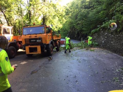 ss 39 DELL§?APRICA