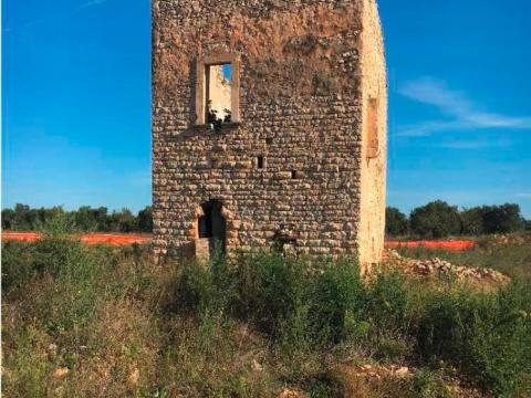 SS96 - Spostamento Torre San Vincenzo