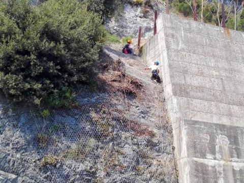 Operazioni di disgaggio lungo l'Aurelia a Savona